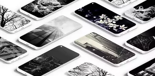 Play Black And White Wallpaper  and enjoy Black And White Wallpaper with UptoPlay