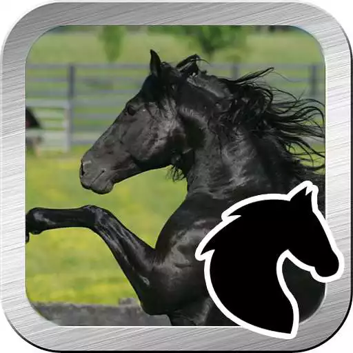 Play Black beauty horse jump APK