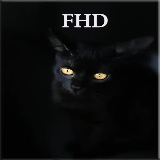 Play Black Fhd Wallpapers APK