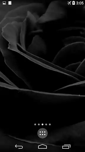 Play Black Rose Live Wallpaper