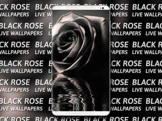 Play Black Rose Live Wallpaper