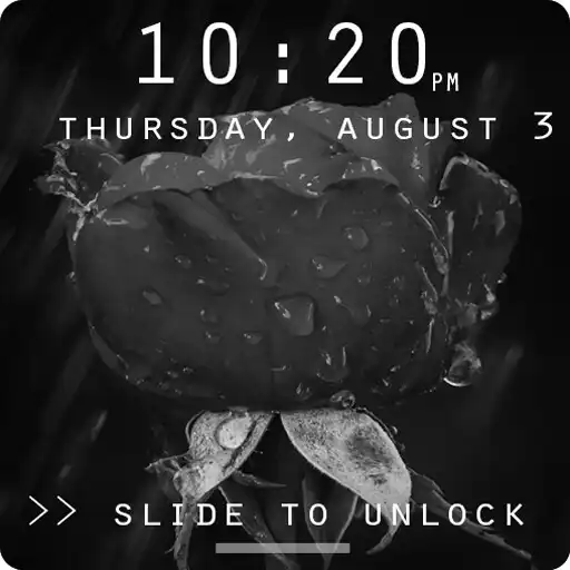 Play Black Roses Lock Screen APK