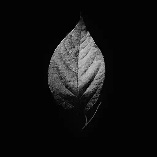 Play Black Wallpapers - Black & Dark APK