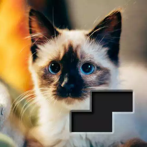 Play Block Square Jigsaw Puzzle APK