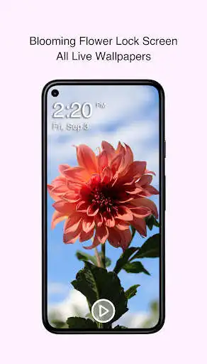 Play Blooming Flower Lock Screen  and enjoy Blooming Flower Lock Screen with UptoPlay