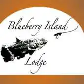 Free play online Blueberry Island Fishing Lodge APK