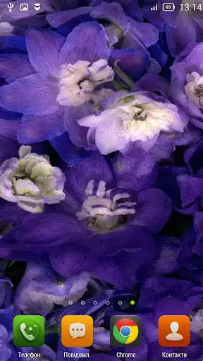 Play Blue Flowers Live Wallpaper as an online game Blue Flowers Live Wallpaper with UptoPlay