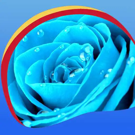 Free play online Blue Rose Live Wallpapers  APK