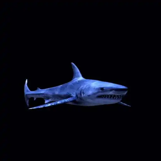 Play Blue Shark Live Wallpaper APK