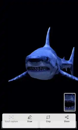 Play Blue Shark Live Wallpaper  and enjoy Blue Shark Live Wallpaper with UptoPlay