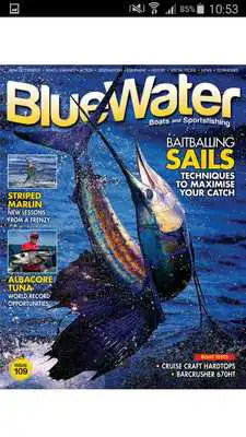 Play BlueWater Boats  Sportfishing