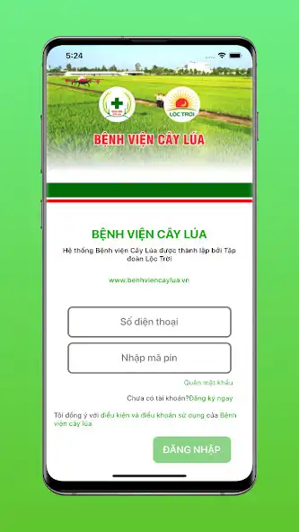 Play Bệnh viện cây lúa  and enjoy Bệnh viện cây lúa with UptoPlay