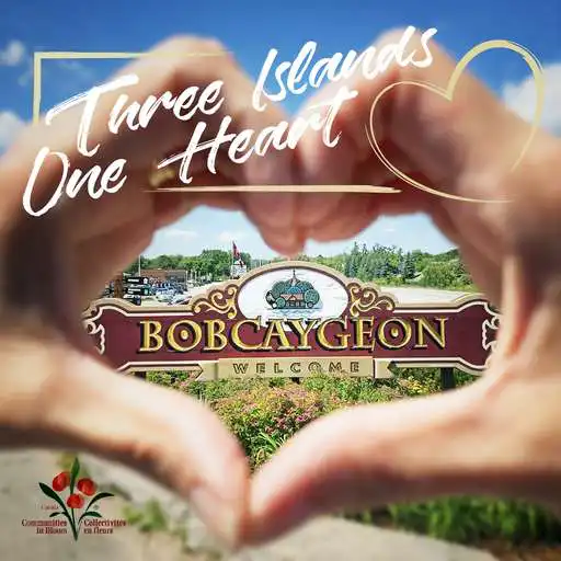 Play Bobcaygeon TSW Trail Town APK