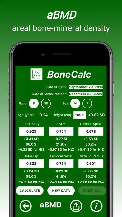 Play BoneCalc as an online game BoneCalc with UptoPlay