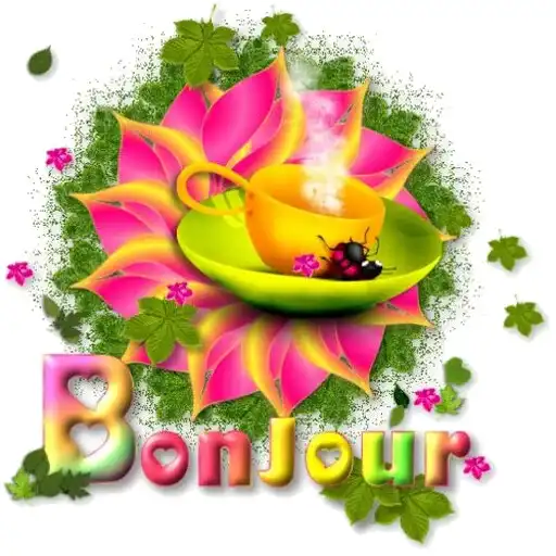 Play Bonjour  Bonsoir WAStickerApps APK