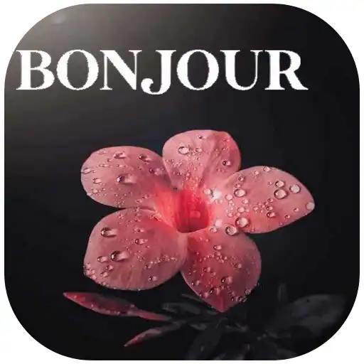 Play Bonjour wallpaper APK