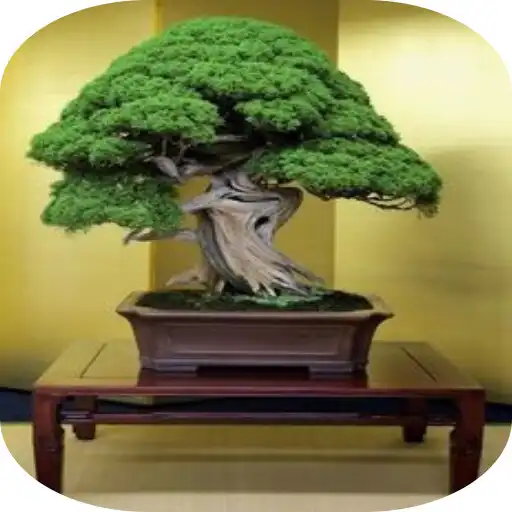 Play Bonsai Plant Ideas APK