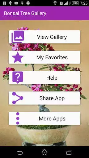 Play Bonsai Tree Gallery  and enjoy Bonsai Tree Gallery with UptoPlay