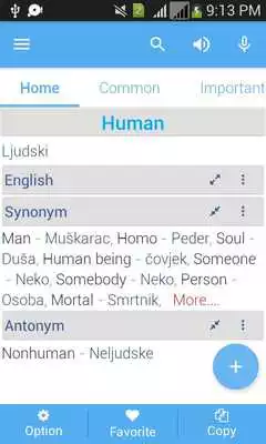 Play Bosnian Dictionary