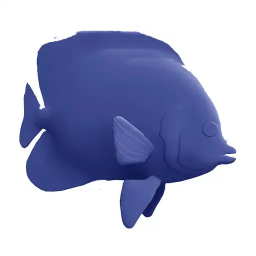 Play Bouncy Fish APK