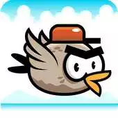 Free play online Brave Birds APK