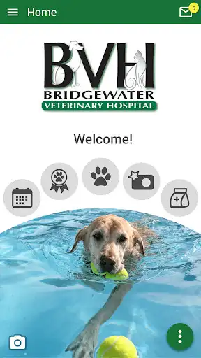 Play Bridgewater Veterinary Hospital  and enjoy Bridgewater Veterinary Hospital with UptoPlay