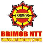 Free play online BRIMOB NTT APK