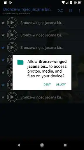 Play Bronze-winged jacana bird sounds ~ Sboard.pro as an online game Bronze-winged jacana bird sounds ~ Sboard.pro with UptoPlay