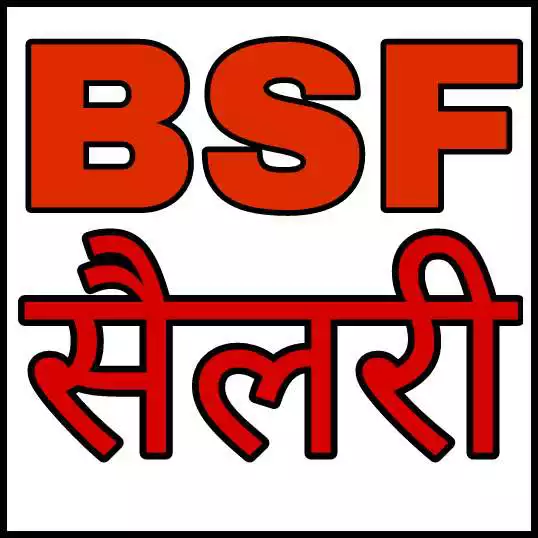 Free play online BSF Salary Slip 2  APK