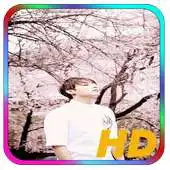 Free play online BTS Wallpaper Jungkook APK