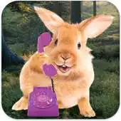 Free play online Bunny Call APK