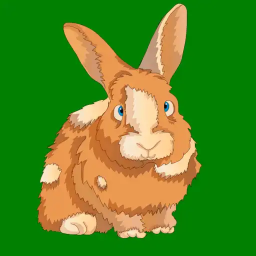 Play bunny photos APK