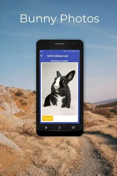 Play bunny photos  and enjoy bunny photos with UptoPlay
