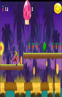 Play Bunny Run :big the forest