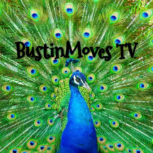 Play BustinMoves TV APK