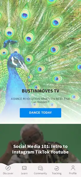 Play BustinMoves TV  and enjoy BustinMoves TV with UptoPlay