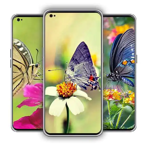 Play Butterflies Wallpaper APK