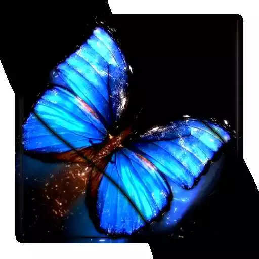 Free play online Butterfly HD Video Wallpaper APK