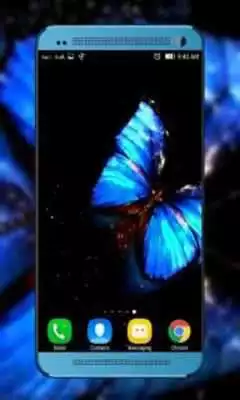 Play Butterfly HD Video Wallpaper