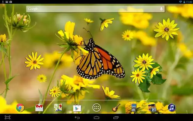 Play Butterfly Live Wallpaper
