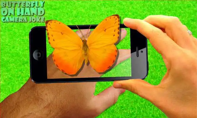 Play Butterfly on hand Camera Prank