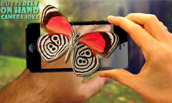 Play Butterfly on hand Camera Prank