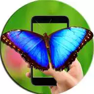 Free play online Butterfly On The Phone Screen  APK