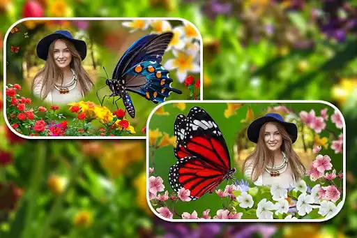 Play Butterfly Photo Frames  and enjoy Butterfly Photo Frames with UptoPlay