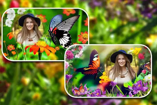 Play Butterfly Photo Frames as an online game Butterfly Photo Frames with UptoPlay