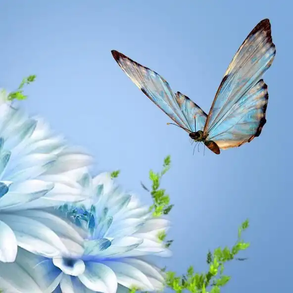 Play Butterfly Wallpapers 2 as an online game Butterfly Wallpapers 2 with UptoPlay