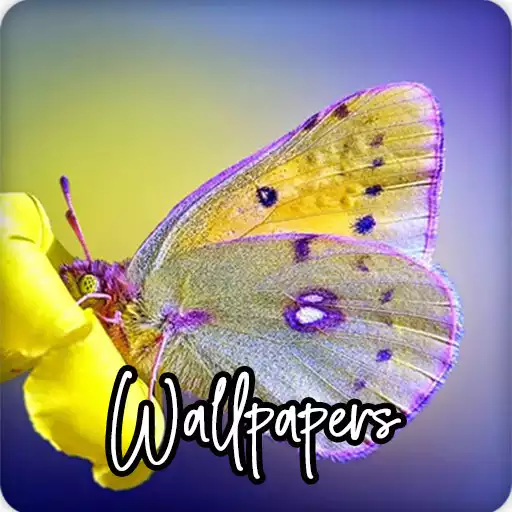 Play Butterfly Wallpapers HD APK