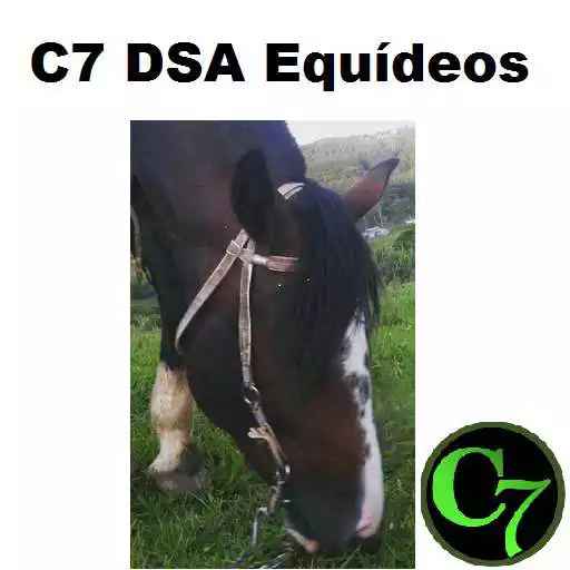 Free play online C7 DSA Equideos APK