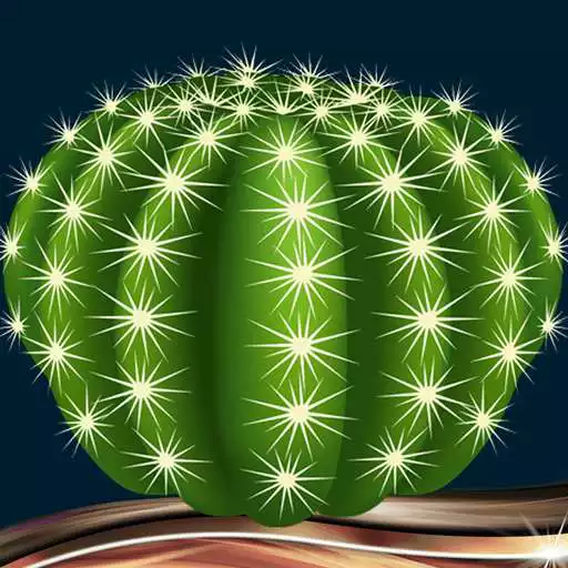 Free play online Cactus Photo Collage  APK