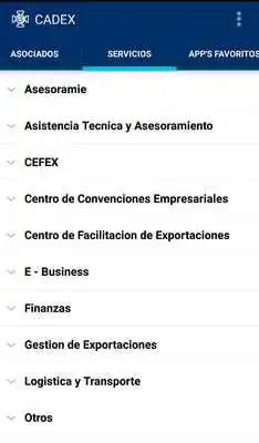 Play CADEX Asociados